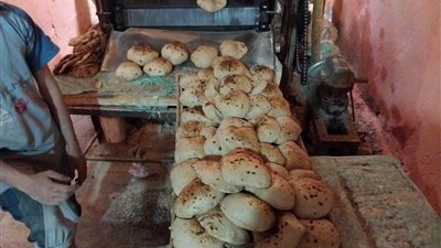 ضبط 2 طن علف دواجن مجهول المصدر بالأقصر