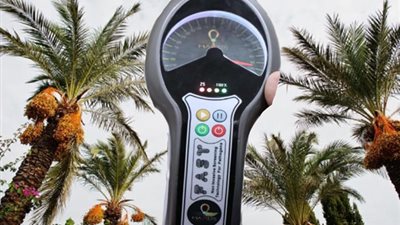 خطة شاملة لحماية 2.5 مليون نخلة وتعزيز صادرات التمور عالميًا