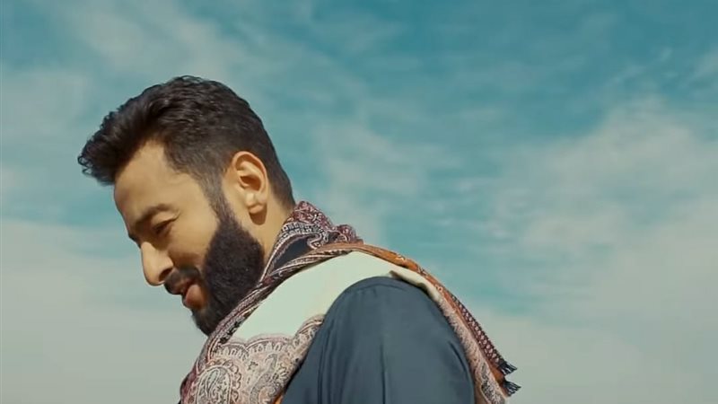 الفنان حمادة هلال