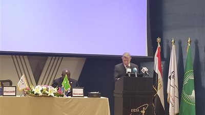 مصر تستعد لإطلاق قمرين صناعيين لرصد تأثير التغيرات المناخية