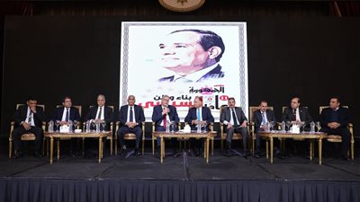 أحمد أيوب: الرئيس السيسي استطاع أن ينجو بمصر من شبح الانهيار للاستقرار