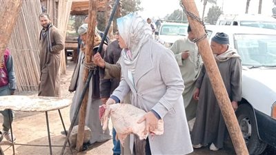 محافظ المنيا: تكثيف الحملات الرقابية على الأسواق والمطاعم