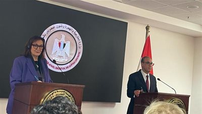 وزير الخارجية: هناك اتفاق أوروبى على دعم أمن مصر المائى