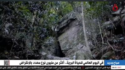 في اليوم العالمي للحياة البرية.. أكثر من مليون كائن مهدد بالانقراض