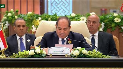 الرئيس السيسي: نسعى مع قطر وأمريكا لوقف دائم لإطلاق النار وإحياء أمل فلسطين