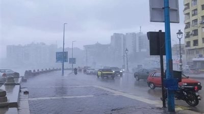 بسبب الطقس .. تعطيل الدراسة في الإسكندرية اليوم الأربعاء