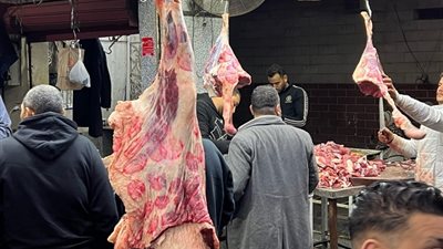 حماة الوطن بالإسماعيلية يوفر اللحوم للمواطنين الكيلو بـ200 جنية