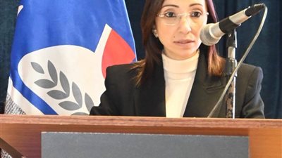 محافظ البحيرة:إستمرار معارض