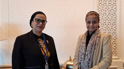 المستشارة أمل عمار تلتقى بنائب المدير التنفيذي لليونيسيف