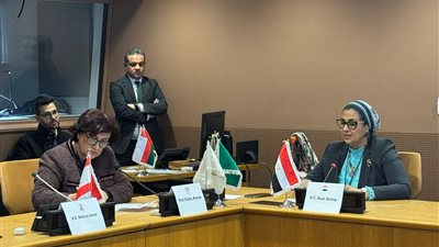 المستشارة أمل عمار تشارك فى جلسة حول اقتصاد الرعاية في زمن الأزمات