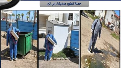 حملات لمكافحة الحشرات وناقلات الأمراض بمدن دمياط