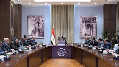 مدبولي: توجيهات من الرئيس بتوفير احتياجات مشروعات الاستصلاح الزراعي