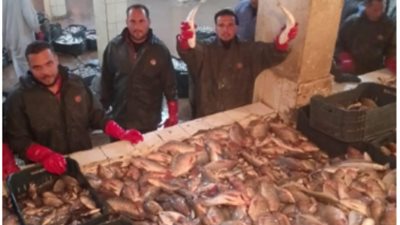 جهاز حماية وتنمية البحيرات يواصل أعمال الصيد لهذا العام