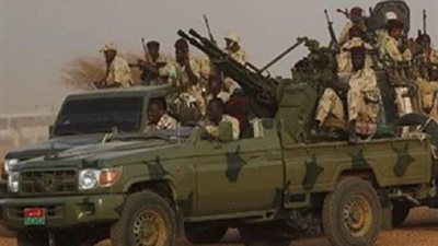 صلاح حليمة: تضامن شعبي واسع مع الجيش السوداني في مواجهة قوات الدع