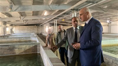جامعة القناة تطلق زريعة من أسماك الفيليه والمرجان الأحمر لزيادة الإنتاج وتثبيت الأسعار