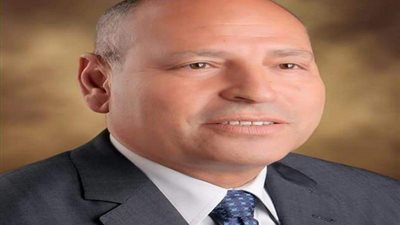 محافظ القاهرة: المستشفيات الحكومية تستعد لعيد الفطر المبارك