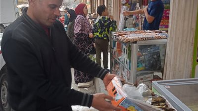 الجيزة تضبط ٦ أطنان و ٥٠٠ كجم من الأسماك المملحة فاسدة
