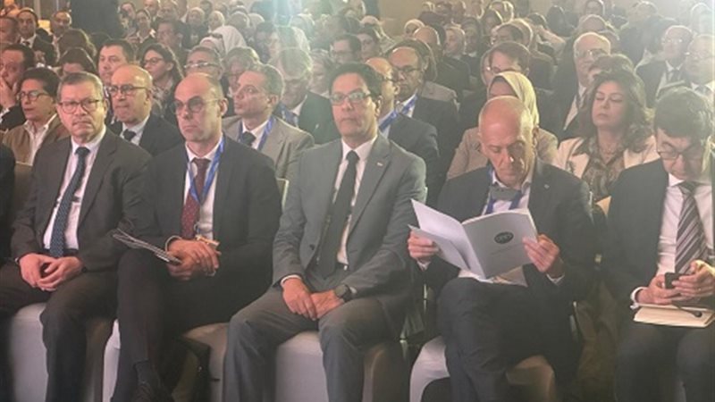 الدكتور ناصر الجيزاوي