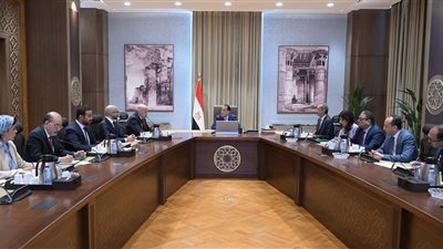 مدبولى يلتقي رئيس مجلس إدارة مجموعة 