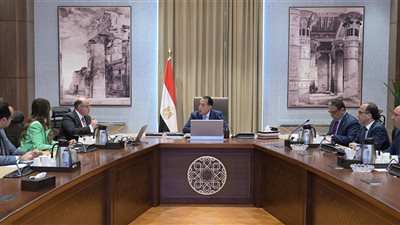 رئيس الوزراء يلتقي رئيس هيئة الرقابة المالية