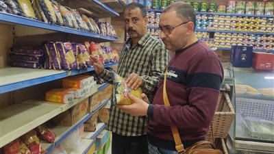 ضبط 9 طن دقيق وملح ومخللات ولحوم في حملة تموينية بالدقهلية