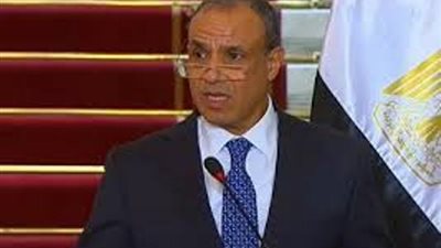 وزير الخارجية: تضافر الجهود ضروري لخفض التصعيد وتجنب اتساع الصراع