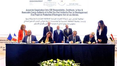مشروعات الهيدروجين الأخضر.. يصب في صالح الاقتصاد الوطني