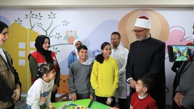 المفتي: ما يجري في قطاع غزة جرح مفتوح في ضمير العالم