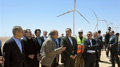رئيس الوزراء يوجه بتصنيع مكونات مشروعات طاقة الرياح محليًا