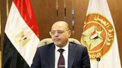 وزير العمل: القانون الجديد يعززأصحاب الأعمال في مصر