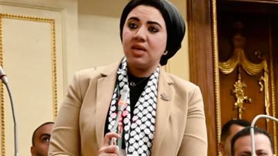 نائبةتنسيقية شباب الأحزاب تتقدم بسؤال حول تأخرإصلاح كوبري الهلالي