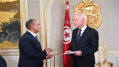 مصر وتونس تبحثان جهود وقف إطلاق النار في غزة