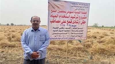بدء موسم حصاد 232 فدان قمح بالدقهلية