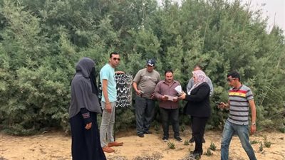 الإسماعيلية تسترد الأراضي الزراعية من المتعدين