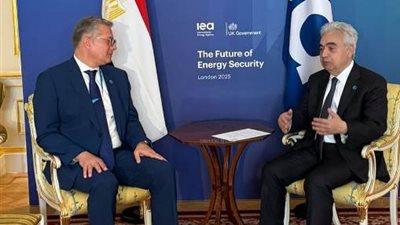 وزير البترول يبحث مع بيرول تعزيز التعاون في مختلف مجالات الطاقة