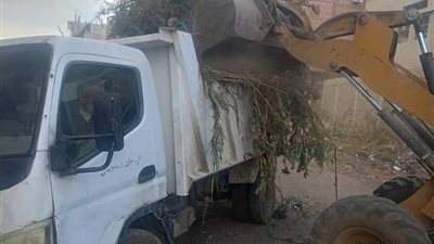 إزالة الغاب والحشائش بمنطقة العشرى بفارسكور