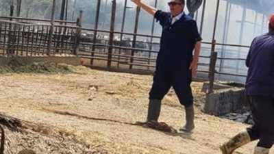 إخماد حريق مزرعة مواشي في الإسماعيلية