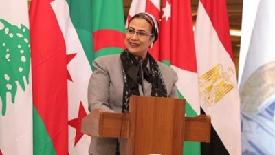 المستشارة أمل عمار:حماية النساء من العنف السيبراني واجب وطني ومجتمعي