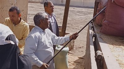 محافظ المنيا: شون وصوامع المحافظة تستقبل 150 ألف طن من القمح
