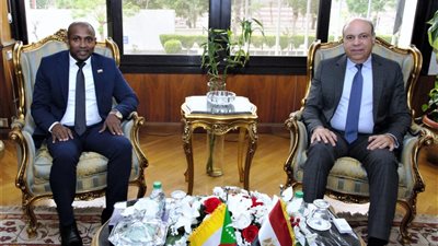 الحفني يبحث مع وزير خارجية جزر القمر سبل التعاون المشترك