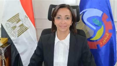 محافظ البحيرة:٣٢٣ مشروعاً إستثمارياً بتكلفة ٢٠ مليار جنيه