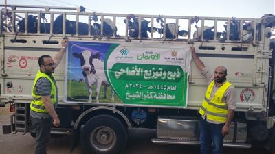50 ألف كيلو لحوم أضاحى و75 عجلا بلديا للاولى بالرعاية بكفر الشيخ
