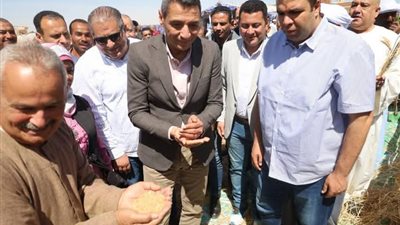 محافظ السويس يفتتح موسم حصاد القمح من قرية الشلوفة