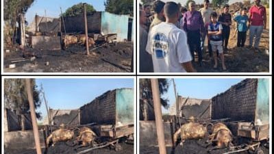 نفوق 12 رأس ماشية وفرس في حريق حظيرة بطوخ