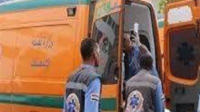 مصرع وإصابة 11 شخصا بانقلاب ميكروباص بالشرقية