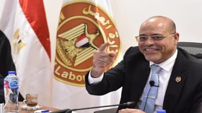 وزير العمل يوفر وظائف لعمال مصريين للعمل بالأردن براتب يصل 500 دينار