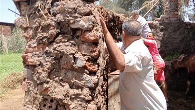 محافظ الدقهليةيتابع اليوم الثالث لتنفيذ الموجة 26 لإزالة التعديات