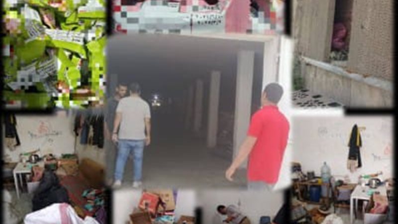 صحة القليوبية