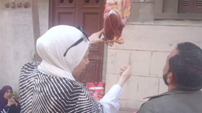 ضبط طن مخللات ودجاج ولحوم وتحرير في حملة تموينية بالدقهلية