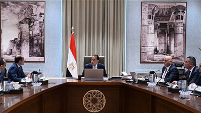 رئيس الوزراء يستعرض جهود تعزيز استدامة جهاز تنمية المشروعات